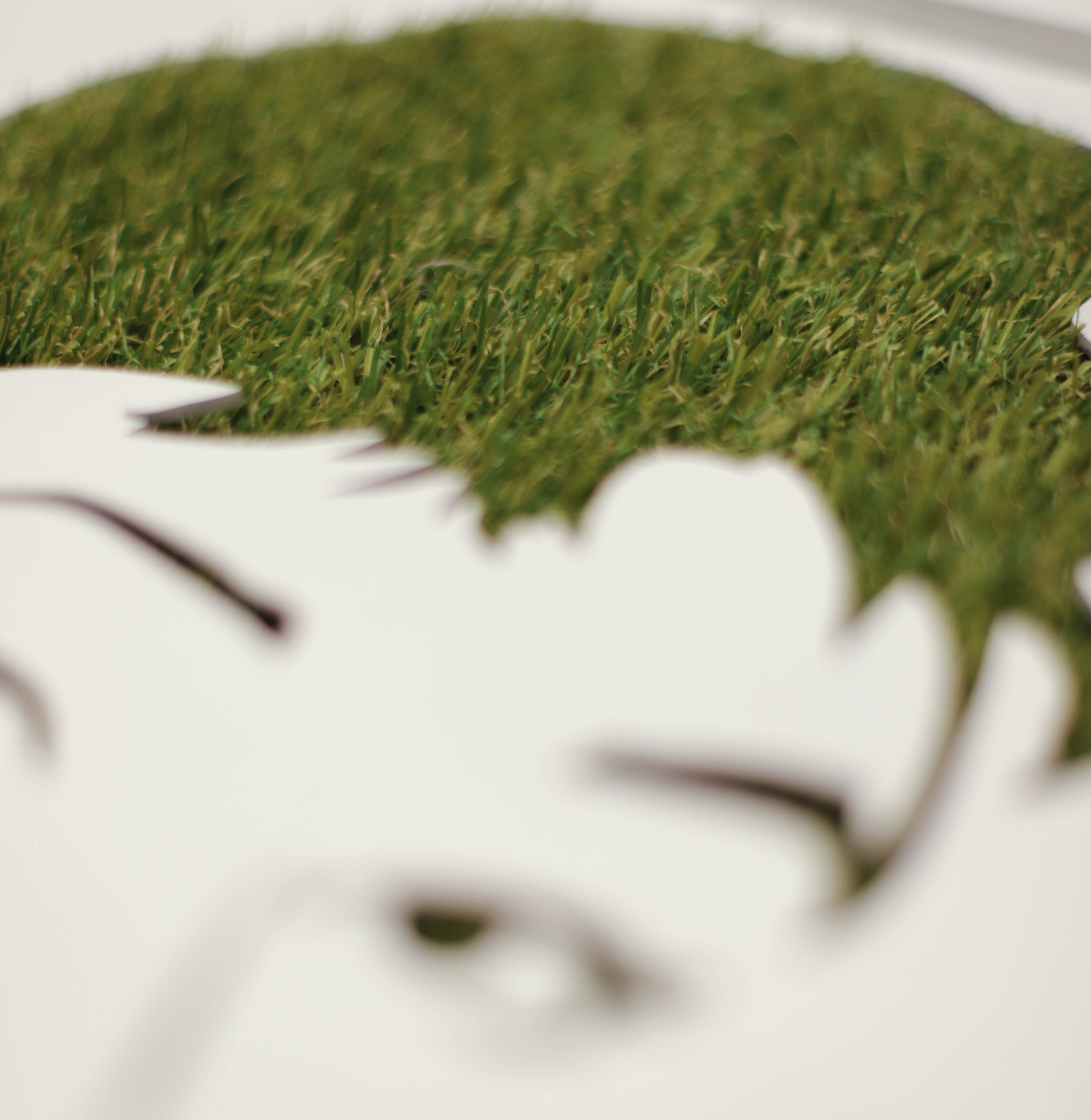 بورتريه العشب