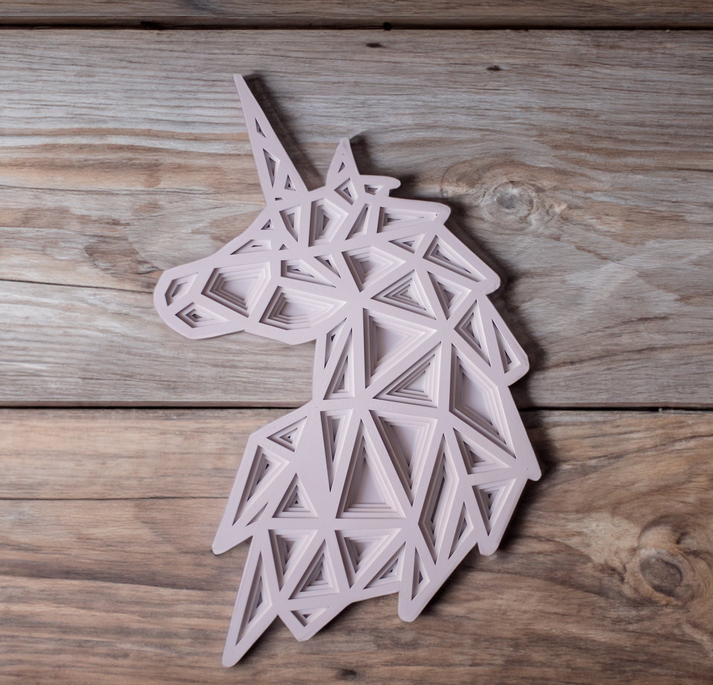 Geometric Unicorn