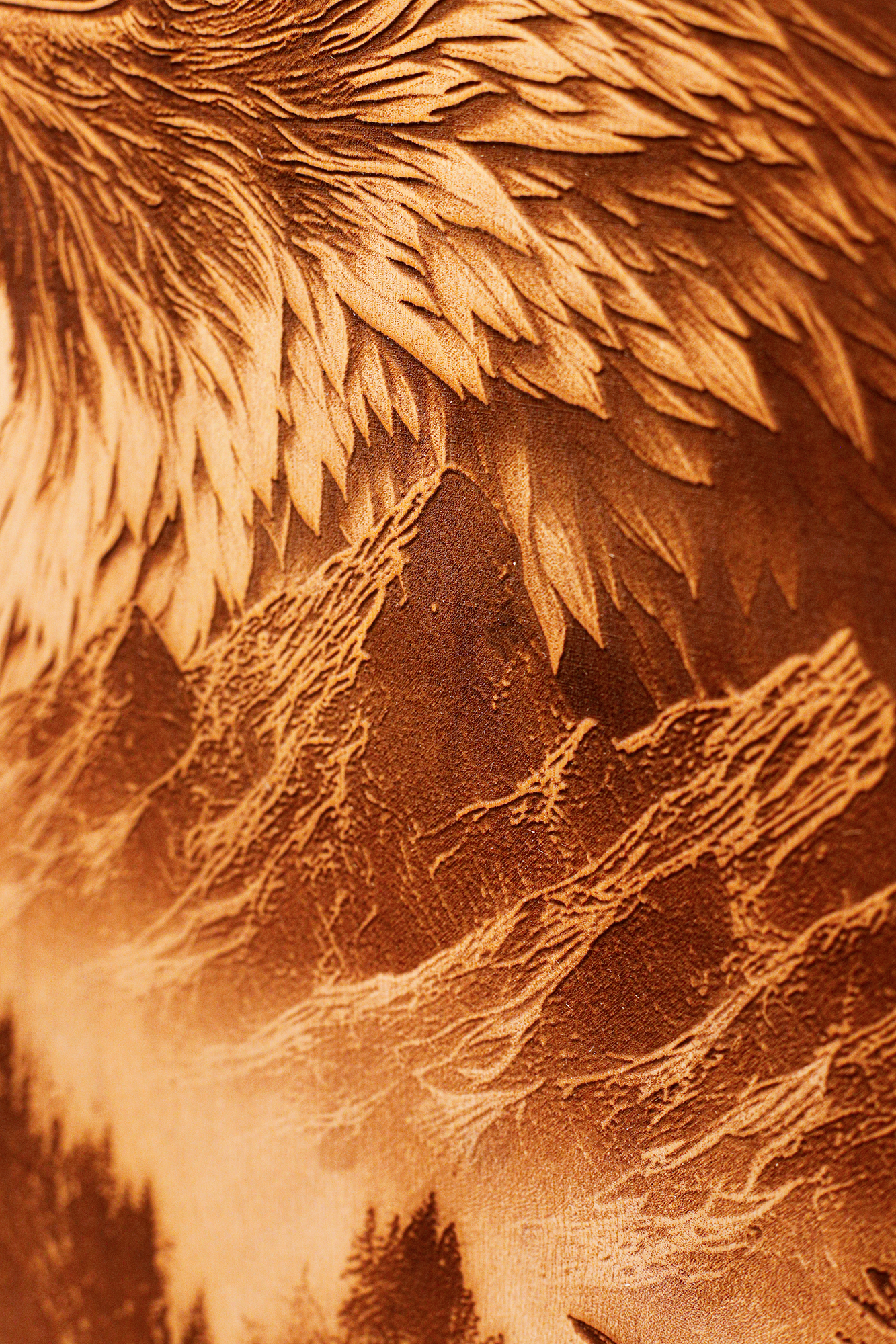Majestic Eagle