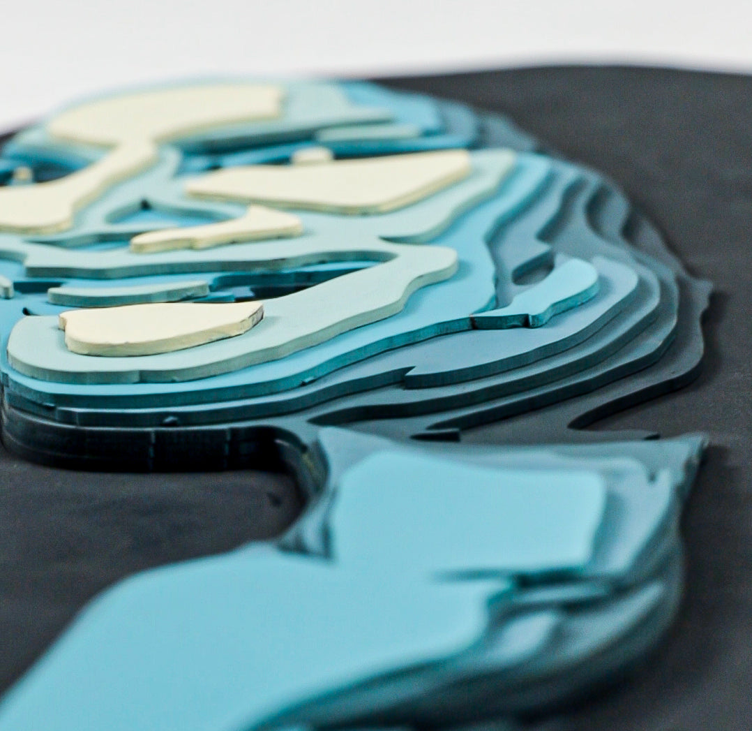 بورتريه الطبقات