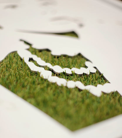 grass Portrait