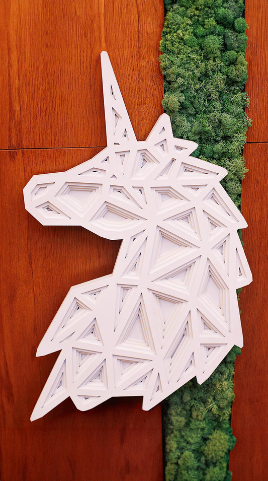Geometric Unicorn