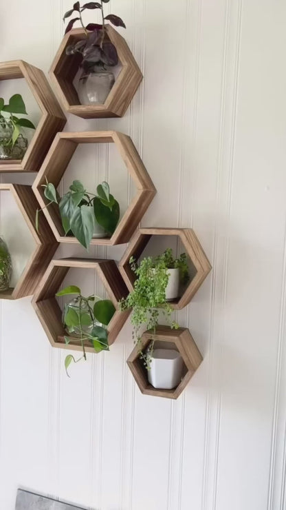 Hexagon Shelves
